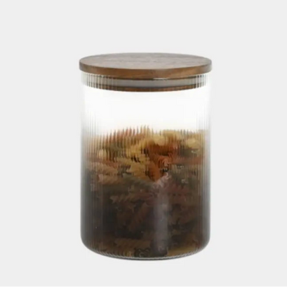 Set de bocaux en verre fumé KENDRA (3 unités)